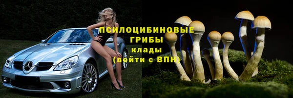 стафф Снежногорск