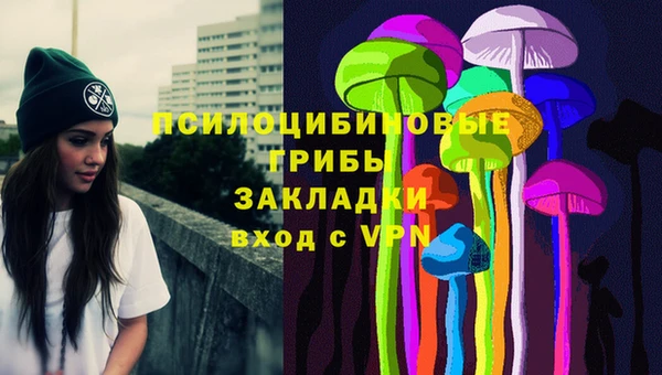 тгк Горно-Алтайск