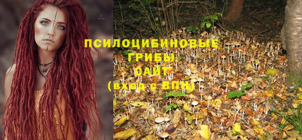 mix Горнозаводск