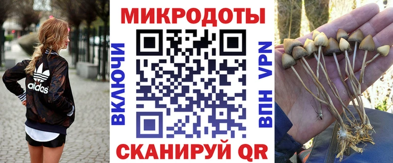 Галлюциногенные грибы мицелий  mega маркетплейс  Теберда 