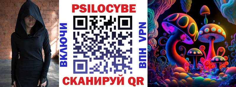 Псилоцибиновые грибы Cubensis Теберда